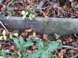 image of grave number 750336